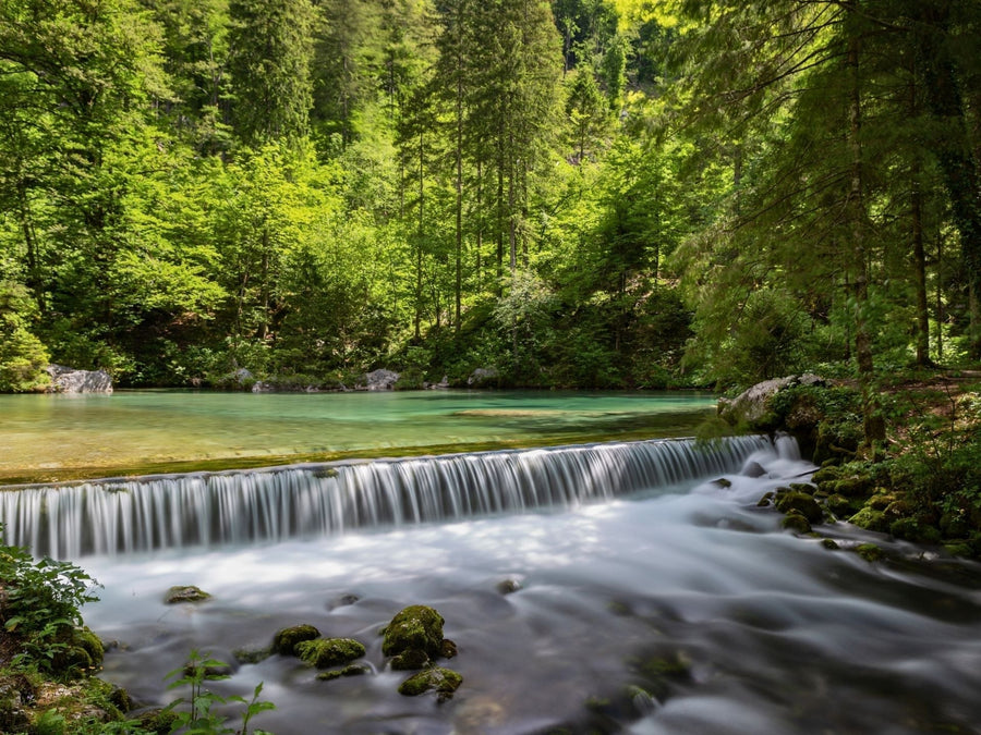Kamniška Bistrica Springs – Alpine Source Below the Kamnik Alps