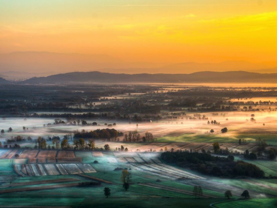 Ljubljana Marshes: Ancient Pile-Dwelling UNESCO Landscape