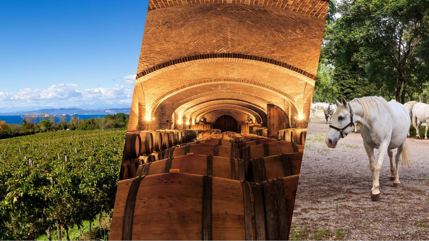 Karst Villages, Wine Cellars & Prosciutto — a Stone & Wind Day from Koper
