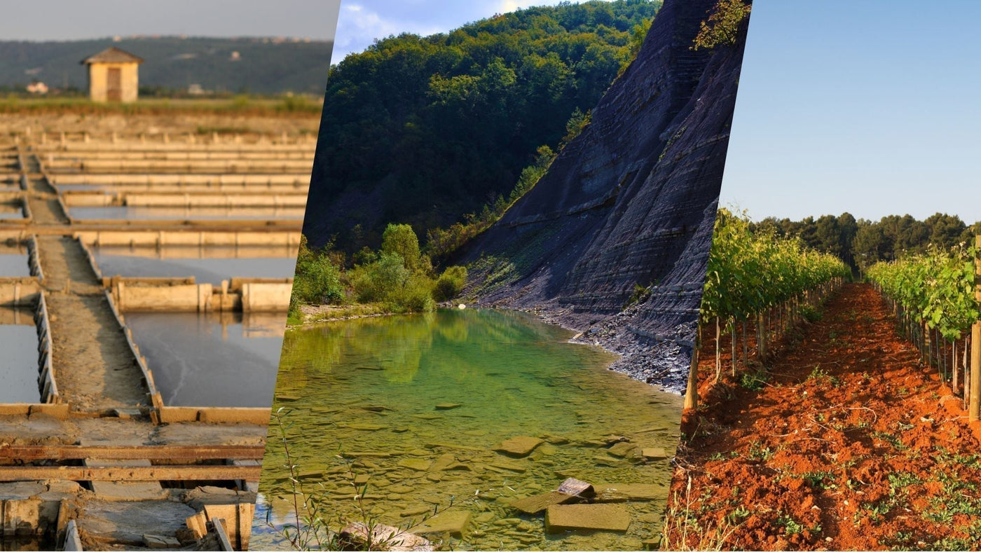 Sečovlje Salt Pans, Dragonja Valley & Istrian Hill Villages — a Slow Inland Day from Koper