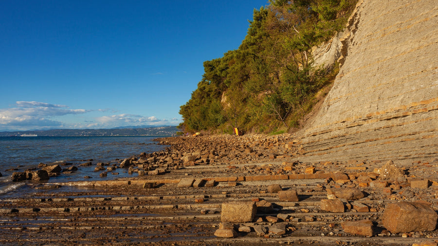Debeli Rtič Peninsula: Cliffs, Terraces and Hidden Swimming Spots