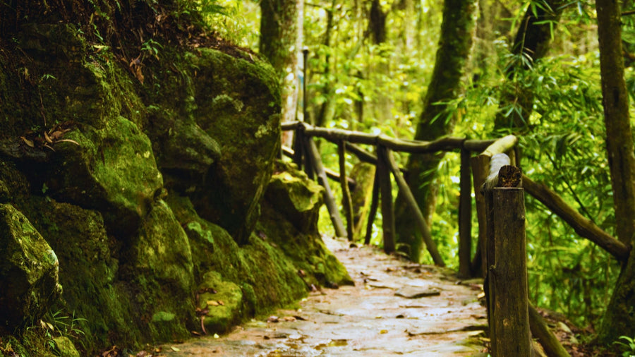 When Slovenia slows down