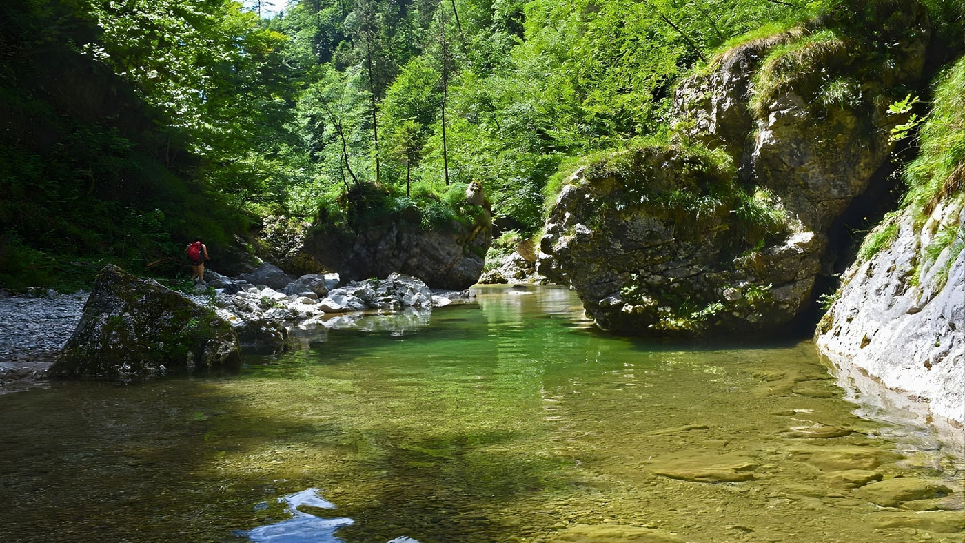 Iški Vintgar Trail – Gorge Walk to Krvava Peč