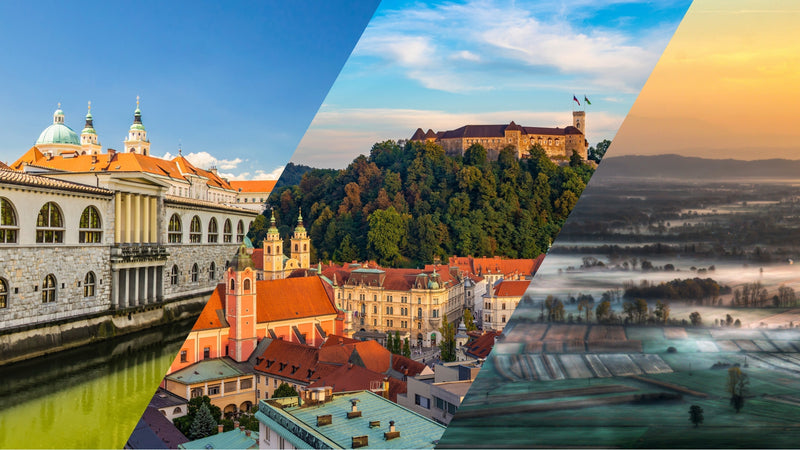 Ljubljana Day Out – Old Town Walk, Šmarna Gora & Ljubljana Marshes