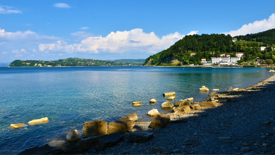 Fiesa Bay & Cliffs: A Quiet Escape Between Piran and Strunjan