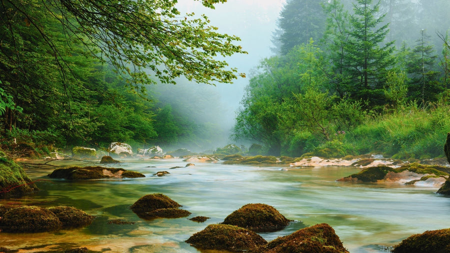 Mostnica Gorge and Voje Valley Trail