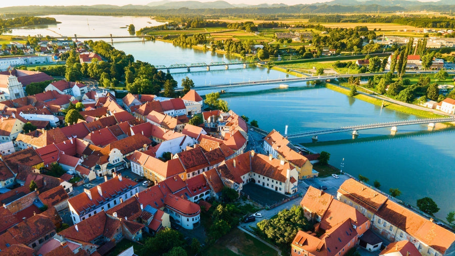 Ptuj Lake & Drava Plains: Birds, Vineyards and Thermal Waters