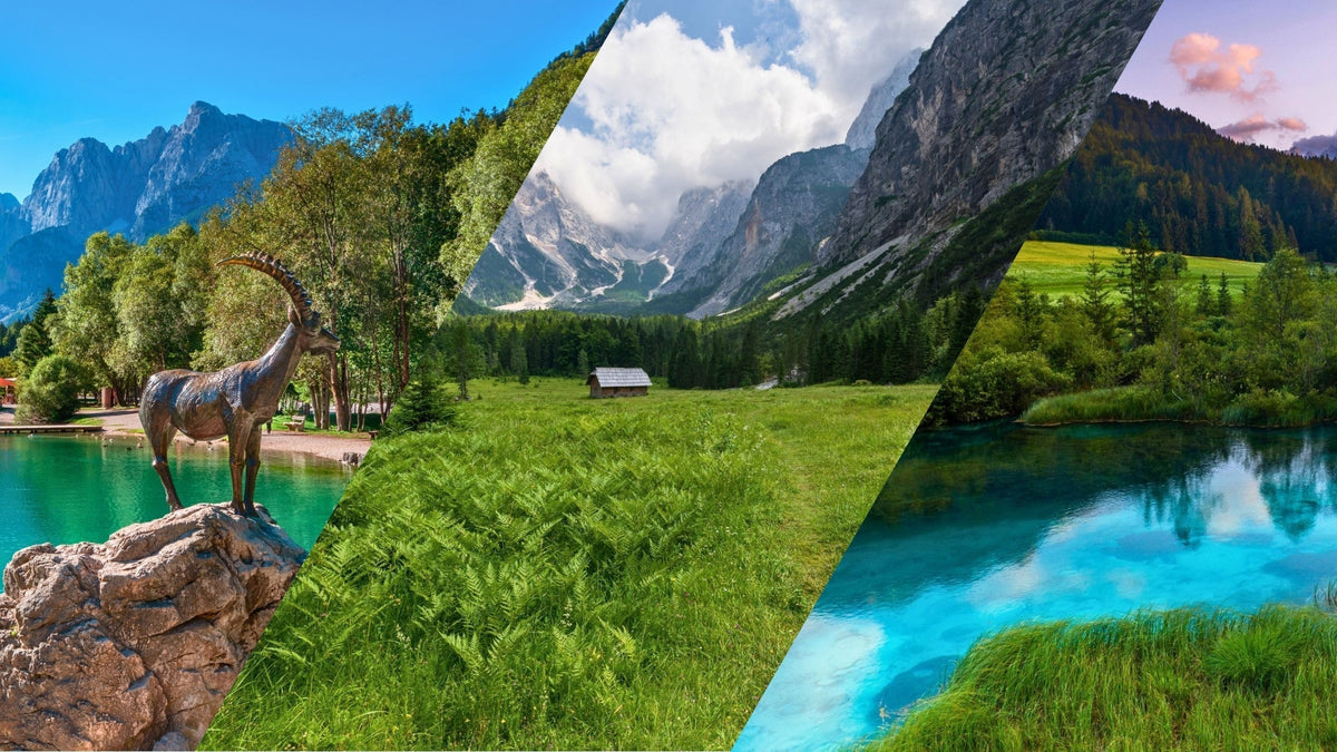 Kranjska Gora Essentials Route – Lake Jasna, Zelenci Springs & Krnica Valley