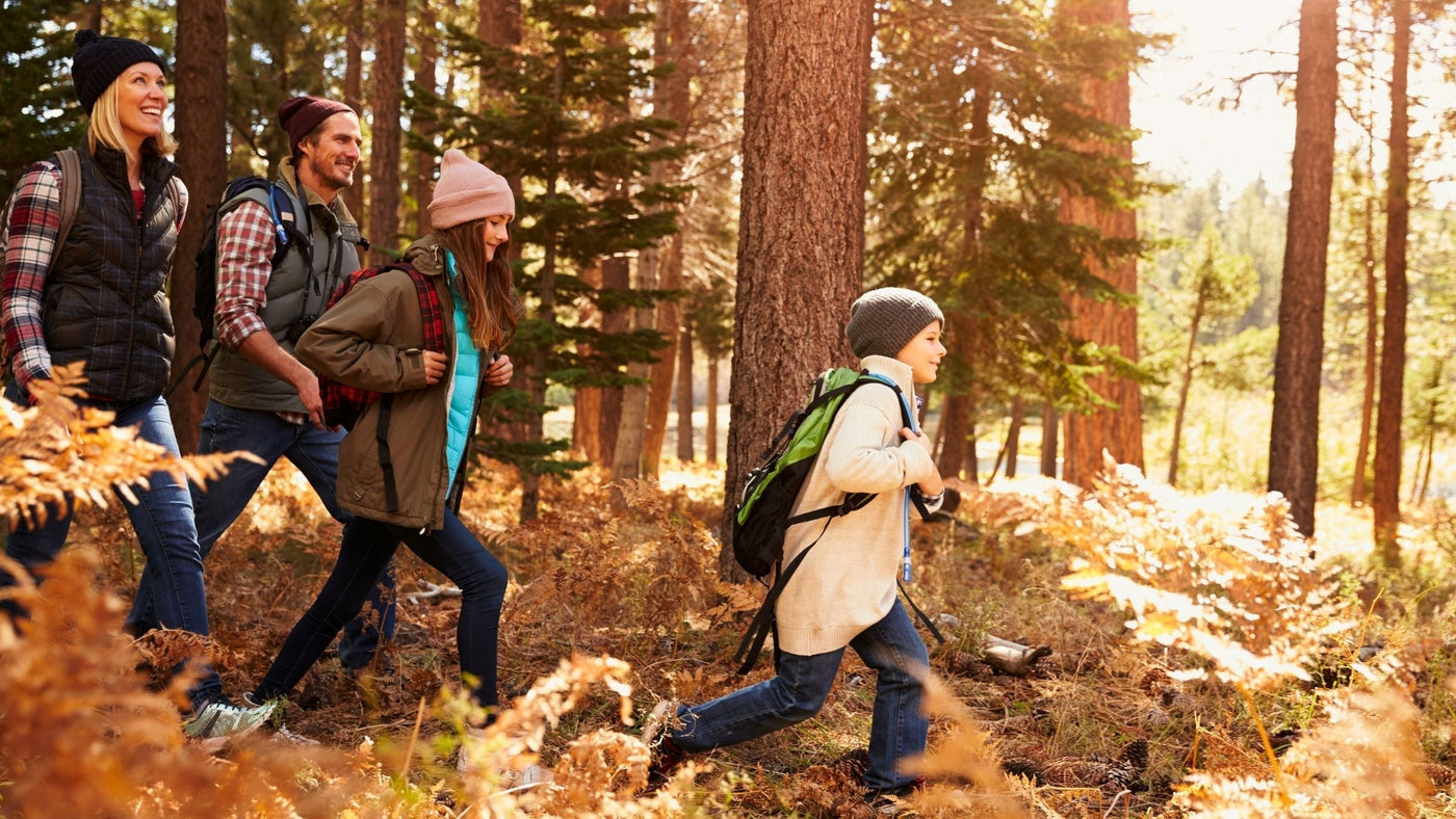 Best Short Hikes Near Ljubljana (Under 2 Hours)