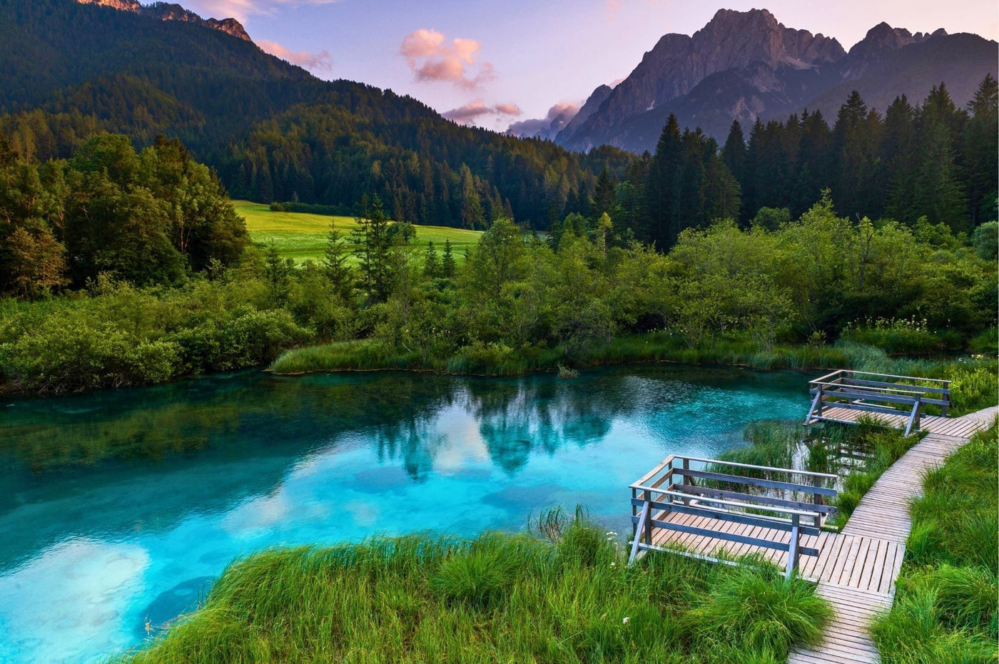 Zelenci Springs Walk from Rateče