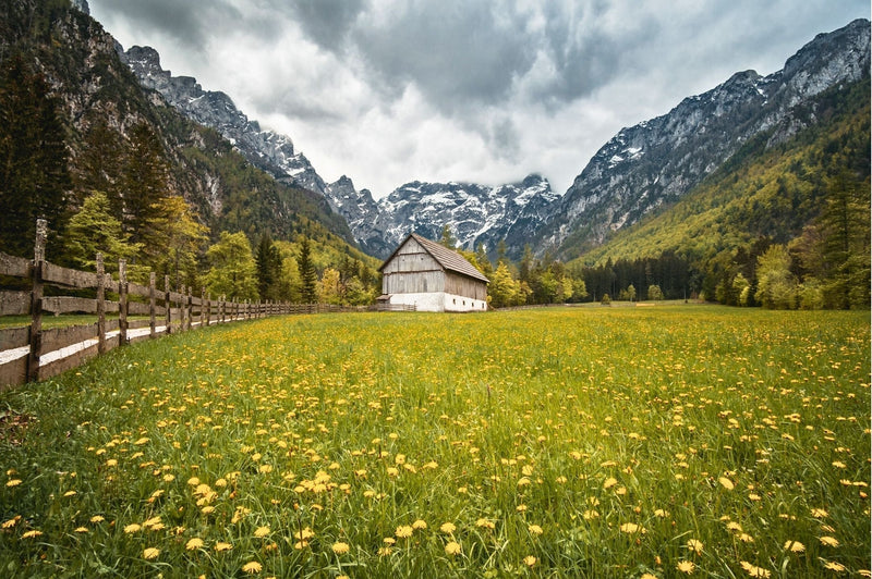 Robanov Kot Valley – Quiet Alpine Valley Near Logar Valley
