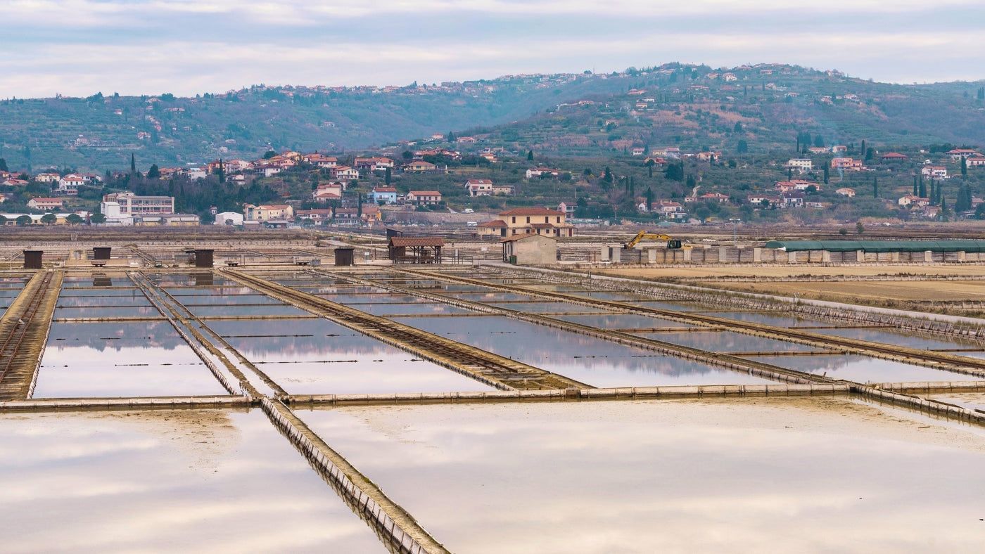 Sečovlje Salt Pans Nature Park: Where Sea, Wind and Salt Shape the Landscape
