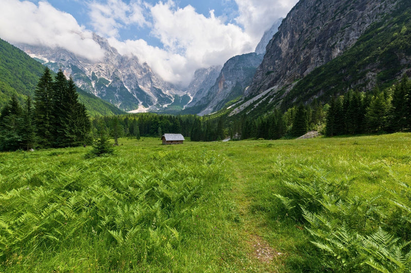 Krnica Valley – Easy Alpine Walk from Lake Jasna into the Julian Alps