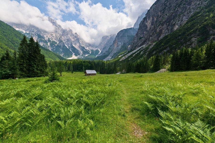 Krnica Valley – Easy Alpine Walk from Lake Jasna into the Julian Alps