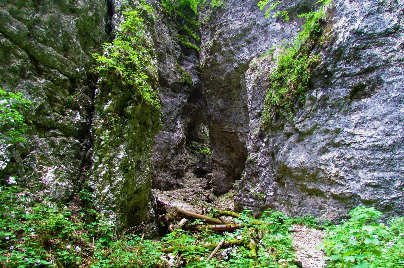 Pokljuka Gorge – Natural Bridges & Mossy Canyon