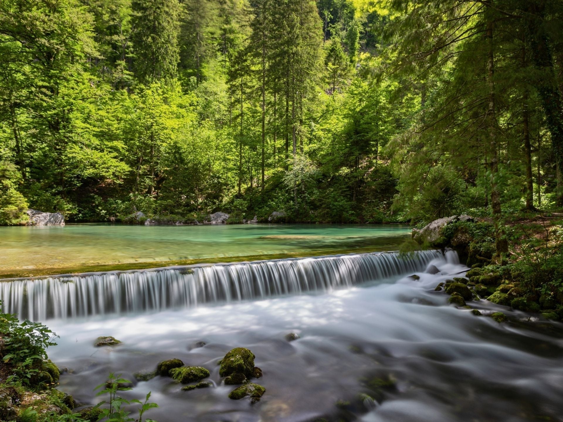 Manantiales de Kamniška Bistrica — Fuente alpina bajo los Alpes de Kamnik