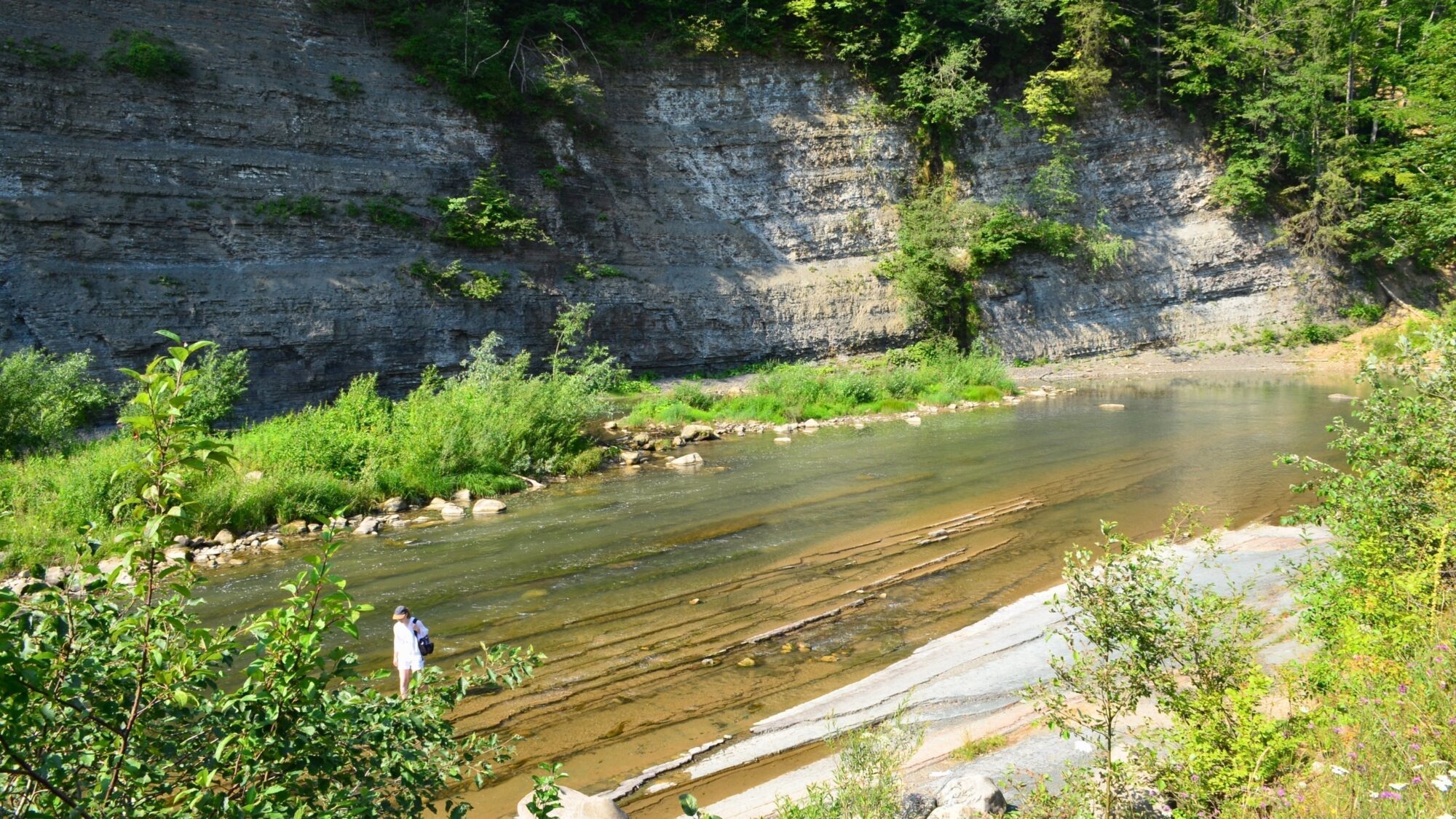 Vallée de la rivière Dragonja — La seule rivière non aménagée du littoral slovène