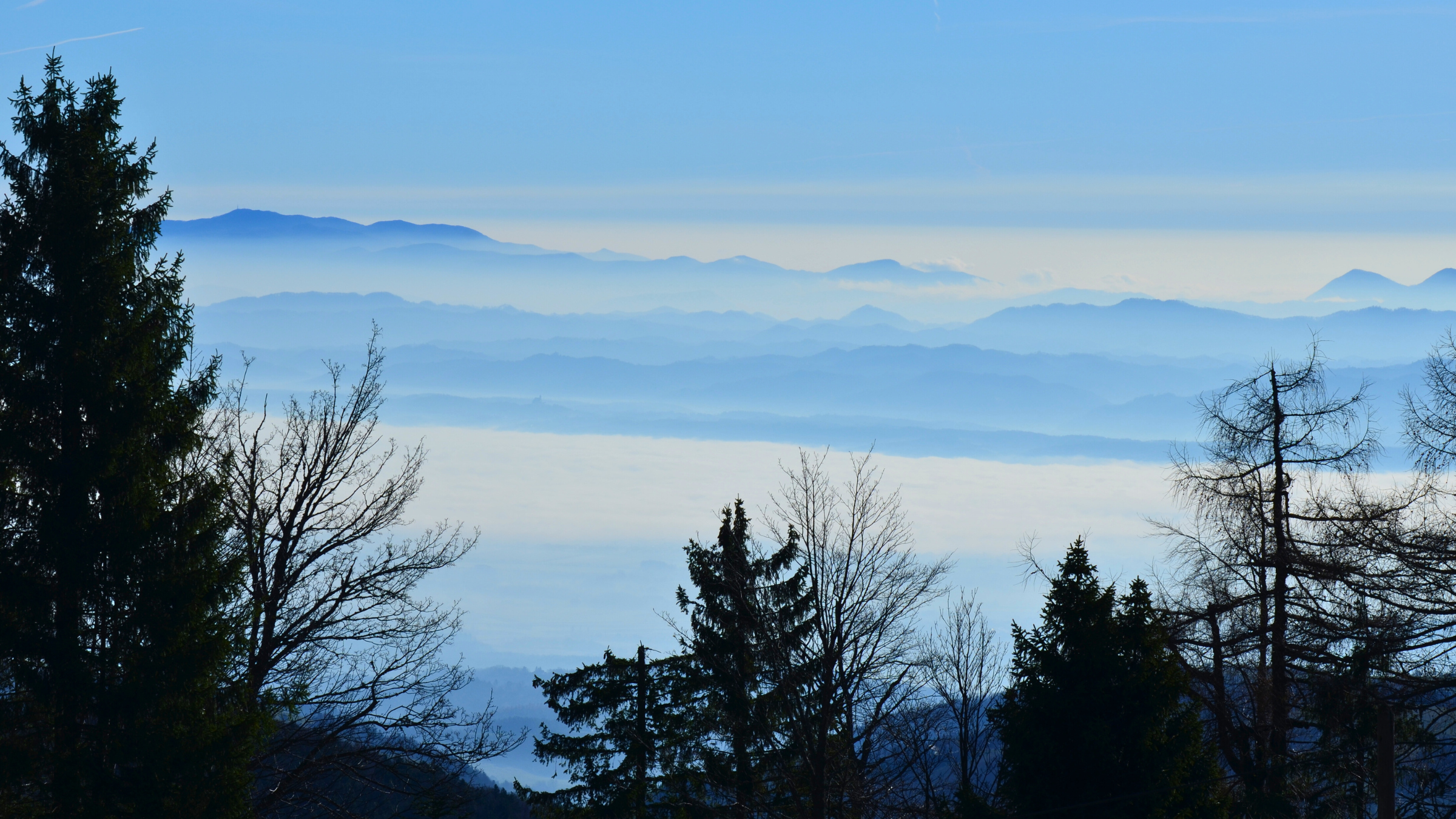Paysage de tourbière des lacs de Lovrenc sur le plateau de Pohorje