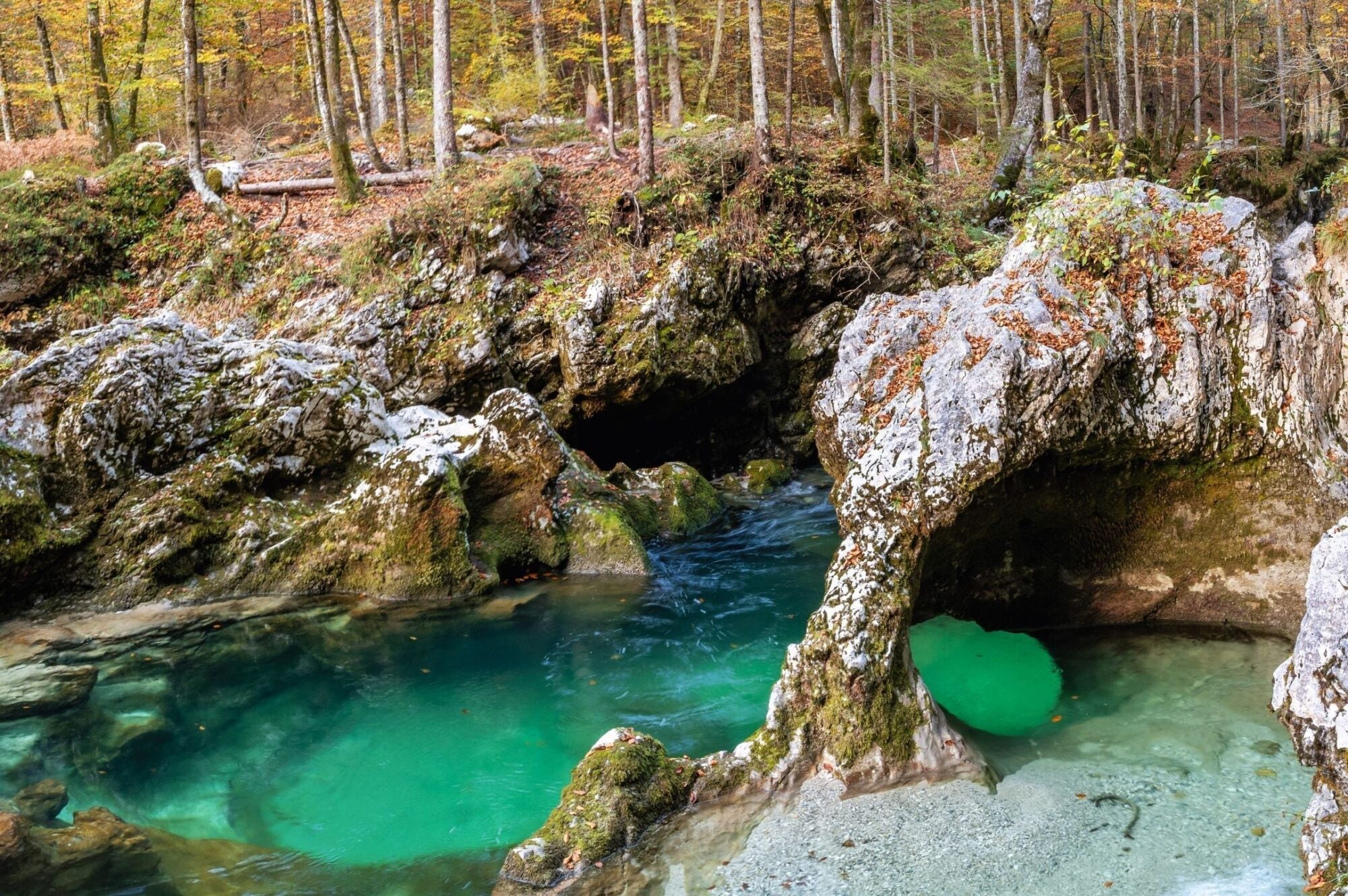 Gorge Supérieure de Mostnica — Extension paisible vers la vallée de Voje