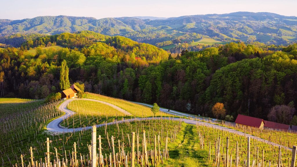 A quiet corner of Slovenia