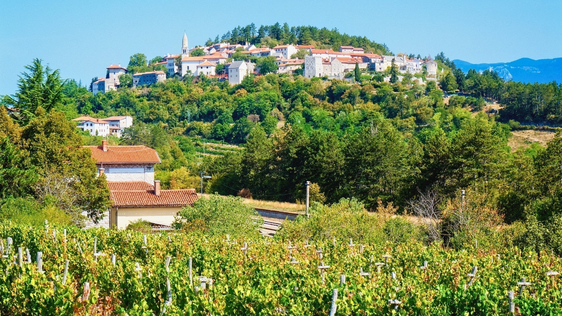 Sežana y las bodegas del Karst + Prosciutto
