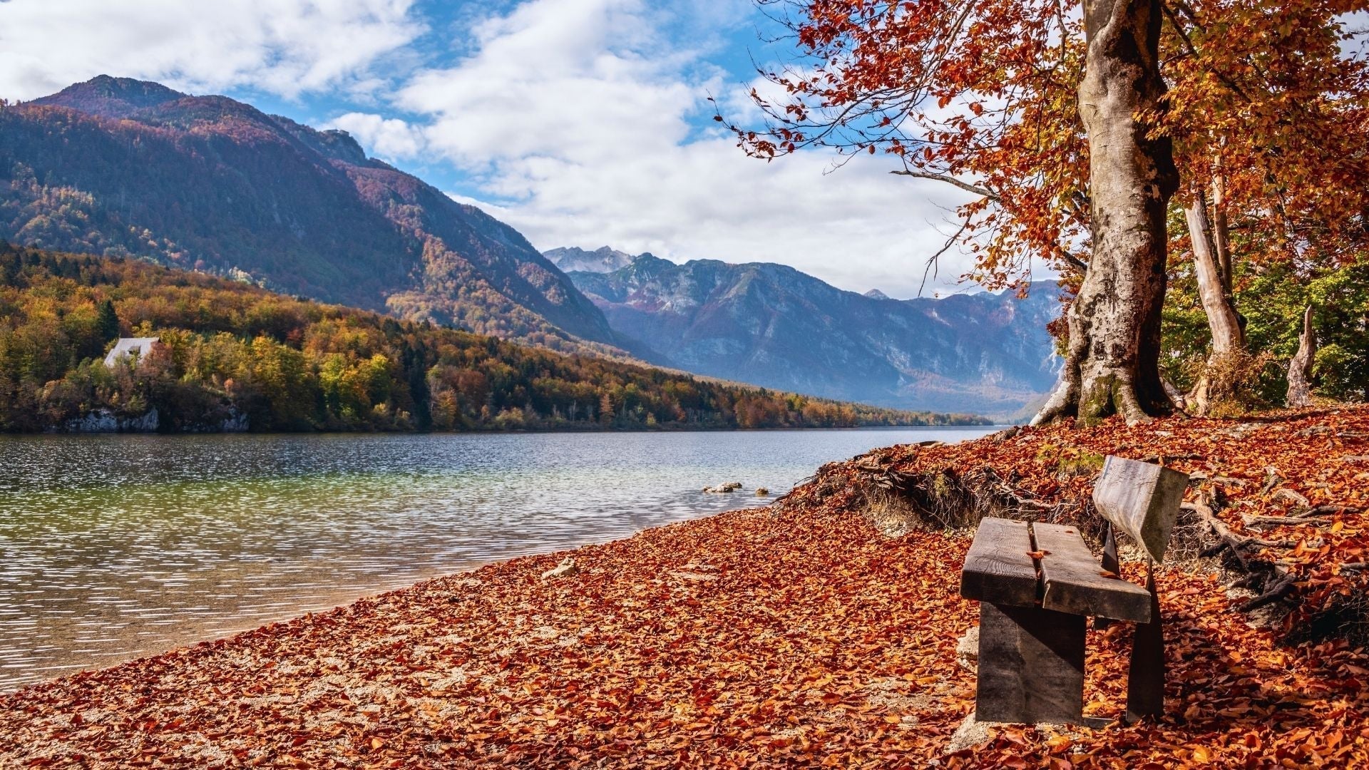 Eslovenia en otoño: mejor momento para colores, niebla y senderos tranquilos (septiembre-noviembre)