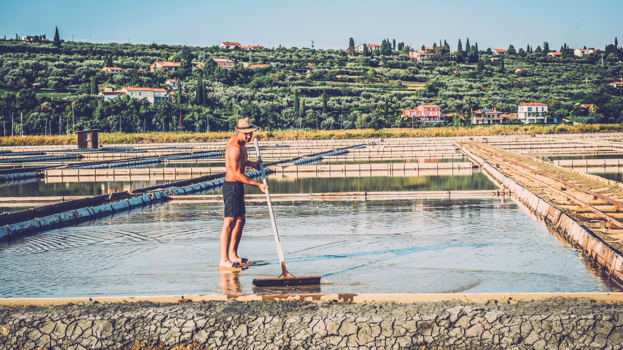 Estructuras tradicionales de producción de sal en las salinas de Sečovlje