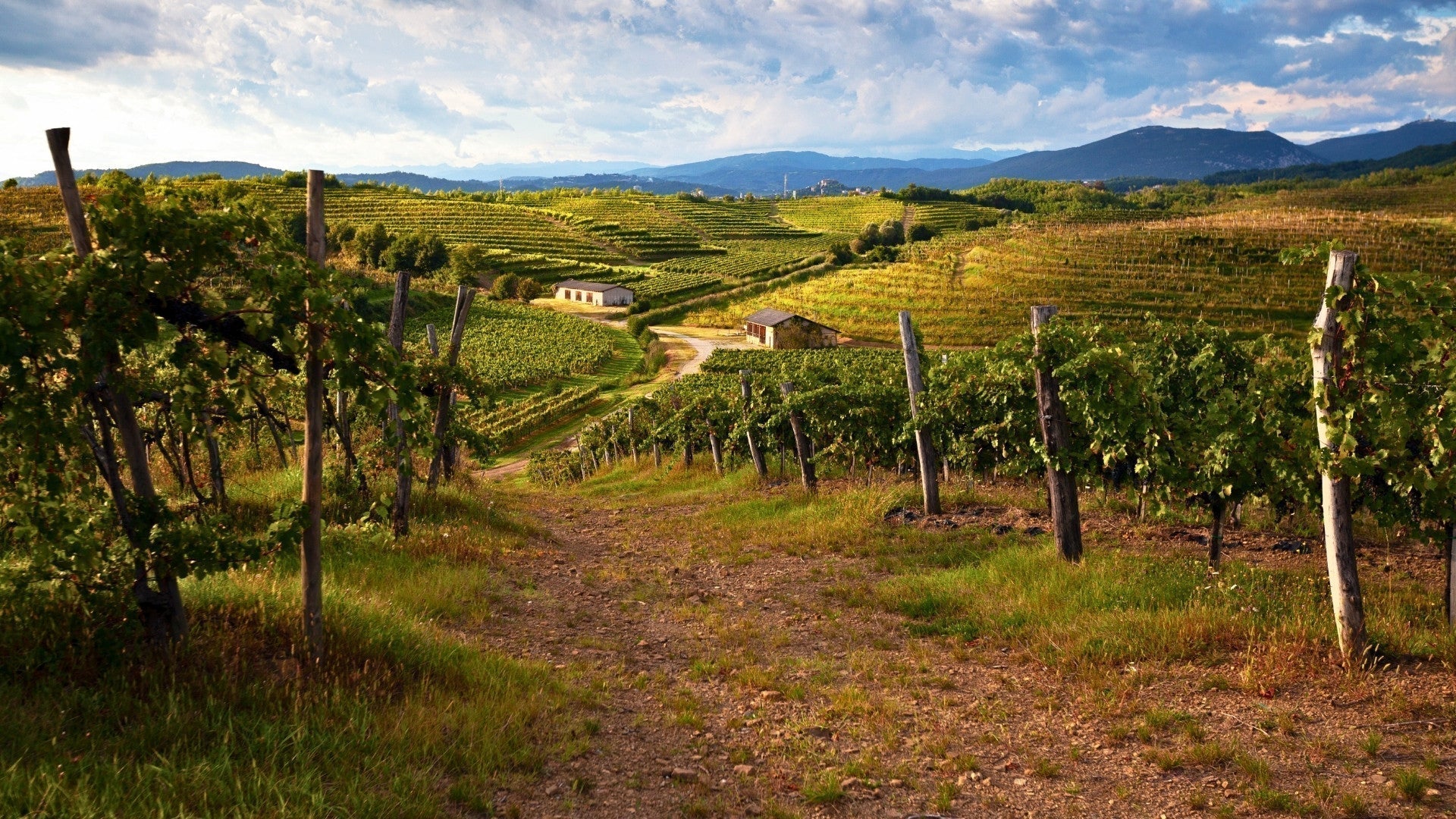 Pueblos del vino del valle del Vipava — El corazón del vino lento de Eslovenia