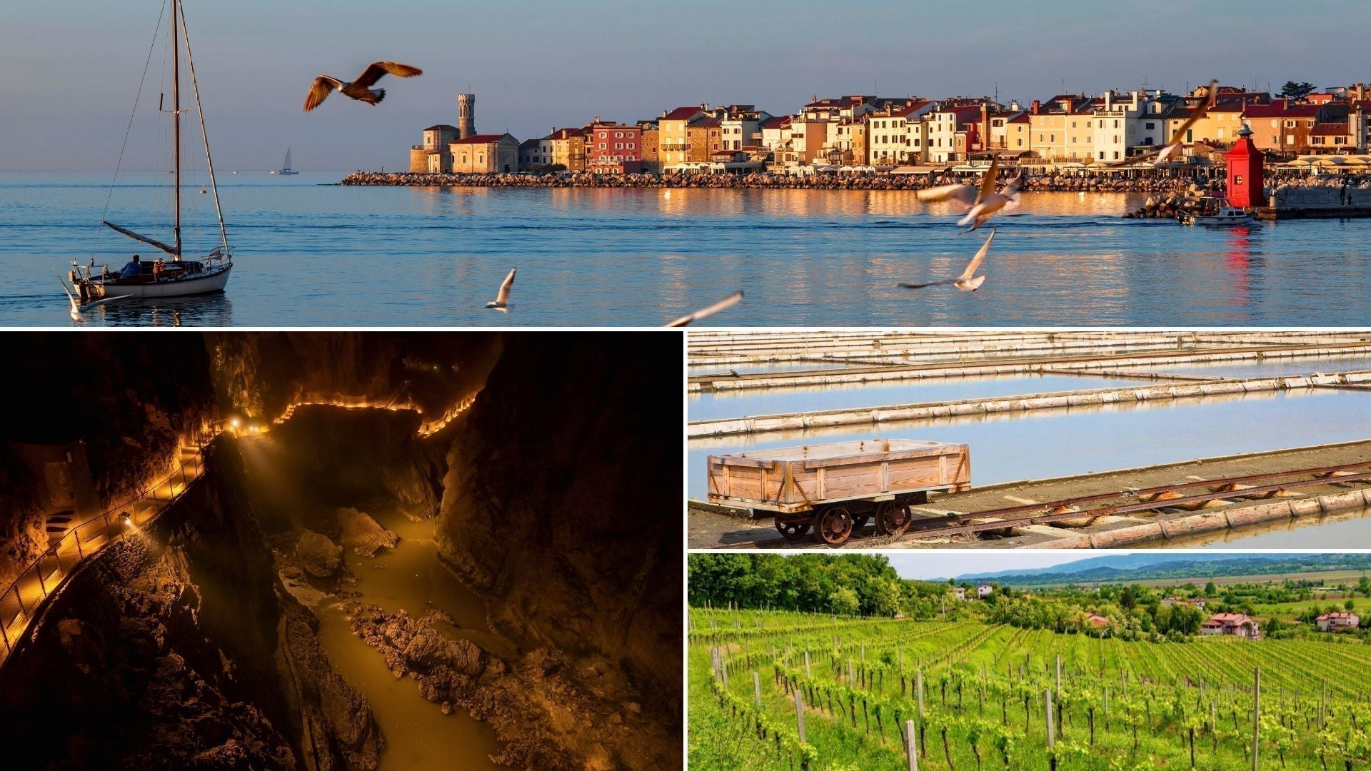 Ruta de 4 días por la costa y el Karst — Base en Koper, paseos por Piran, pueblos del Karst, Sečovlje, Vipava o Škocjan