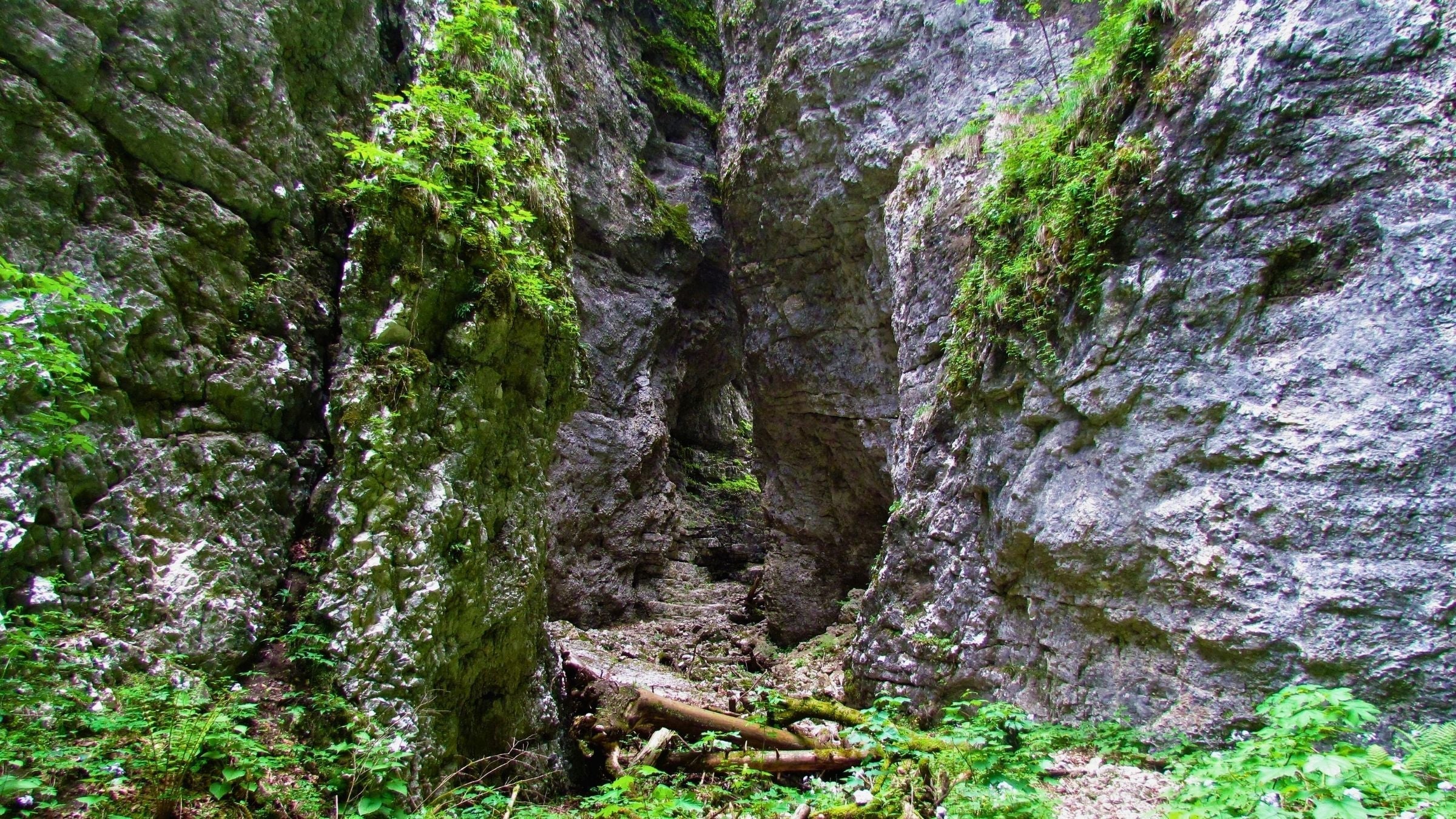 Pokljuka Gorge Trail