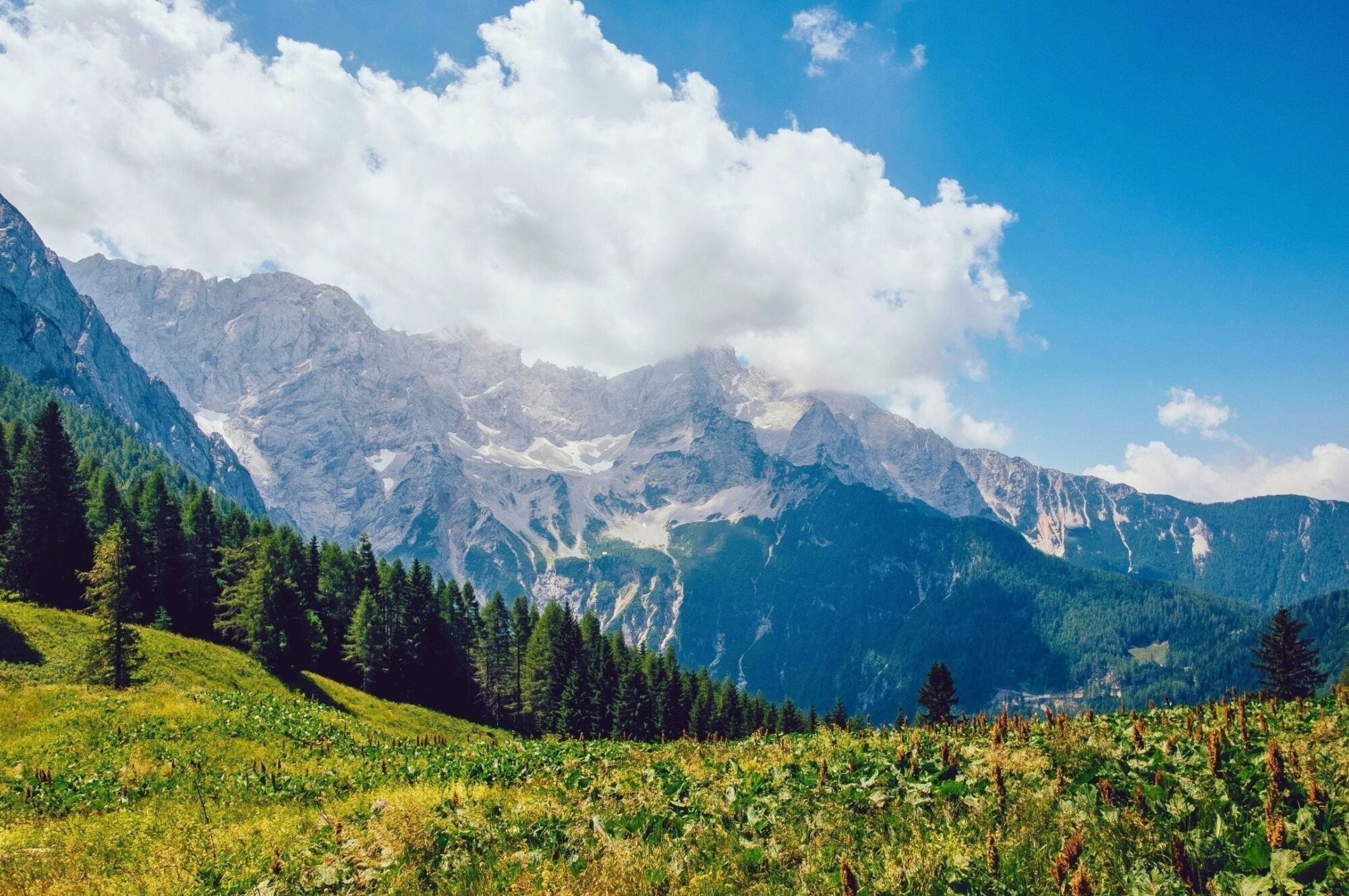 Goli Vrh — Crête alpine et point de vue au-dessus de Jezersko
