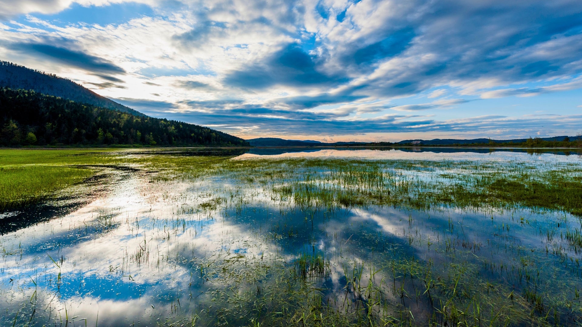 Champs inondés saisonnièrement du lac de Cerknica vus d'en haut