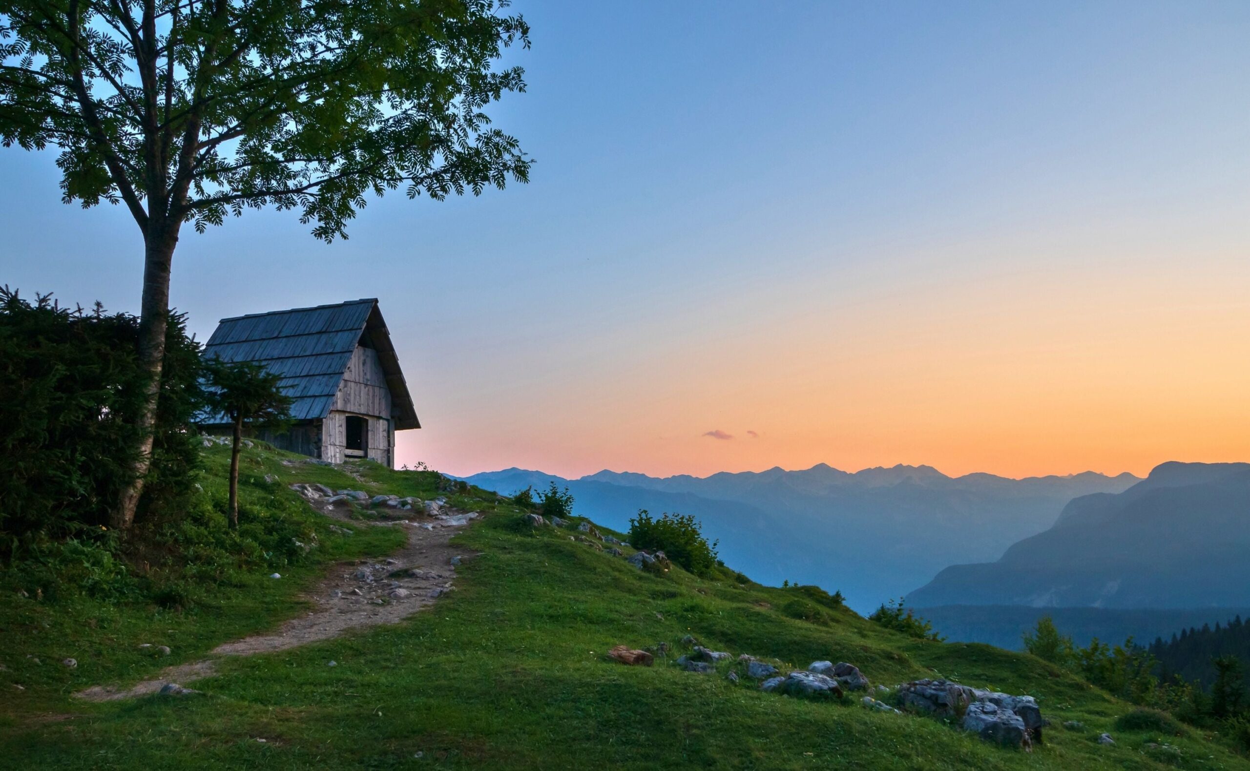 Forêt d'épicéas et prairies ouvertes sur le plateau de Pokljuka dans les Alpes juliennes
