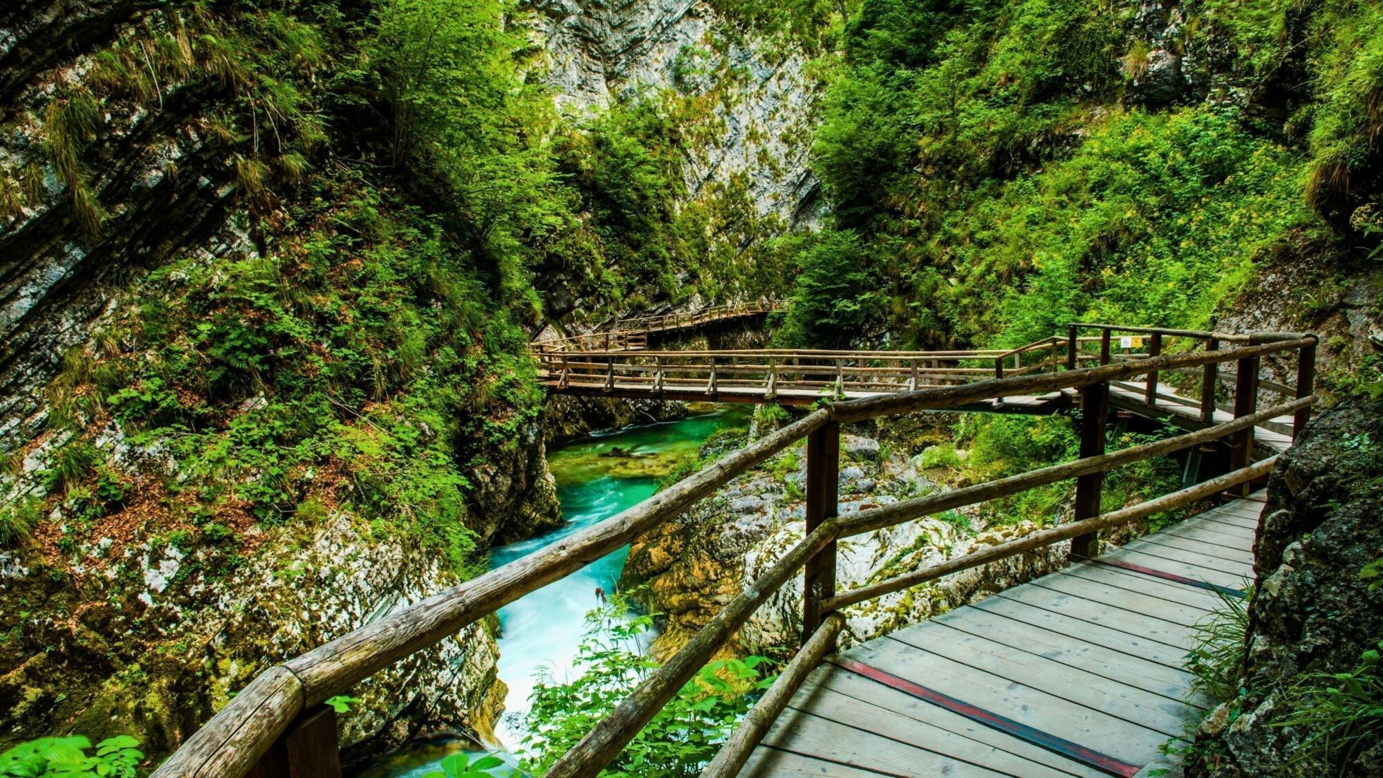 Sendero de la pasarela de la garganta de Vintgar