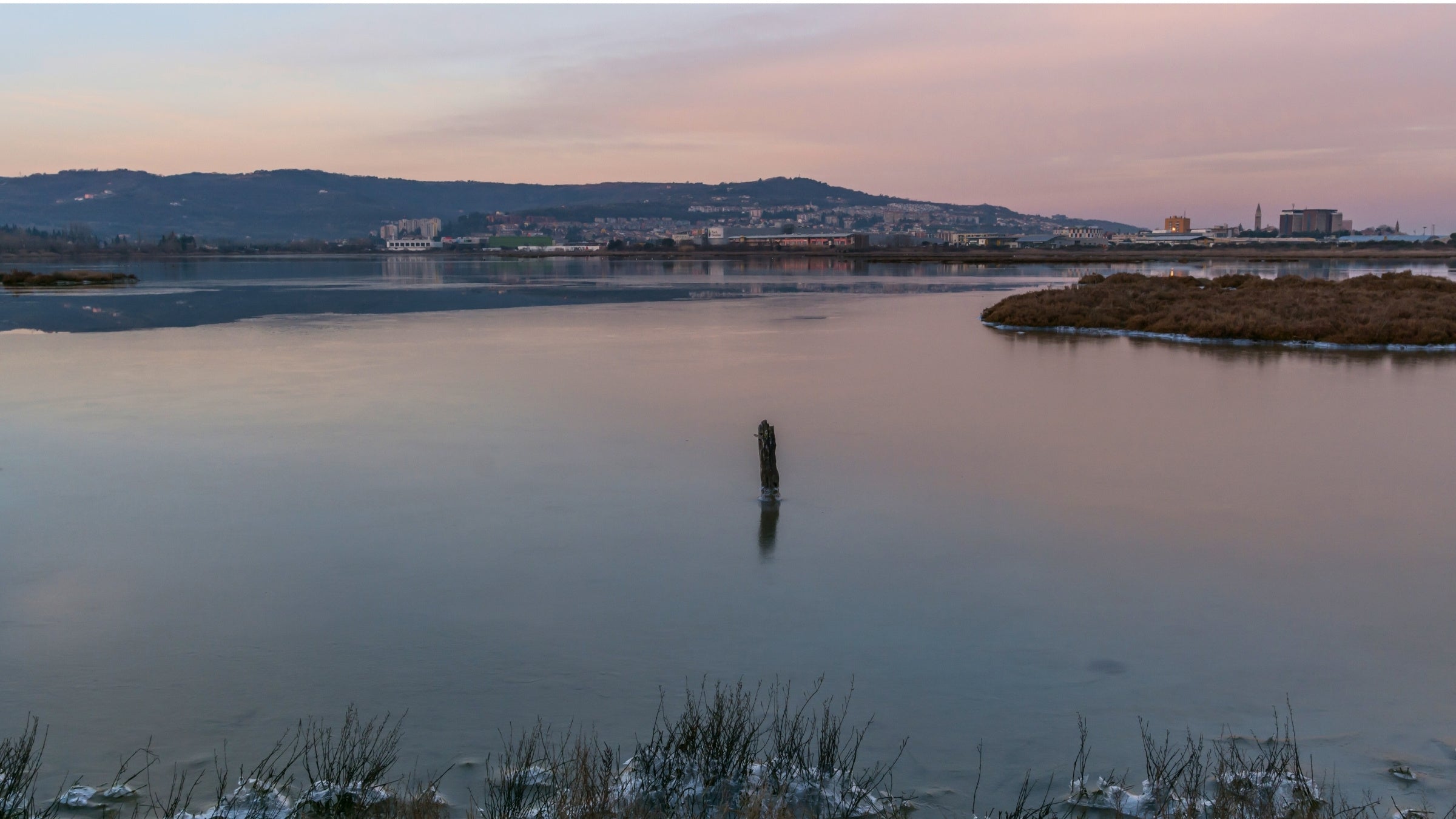 Roselières, lagune et prairies pâturées à la réserve naturelle de Škocjanski Zatok