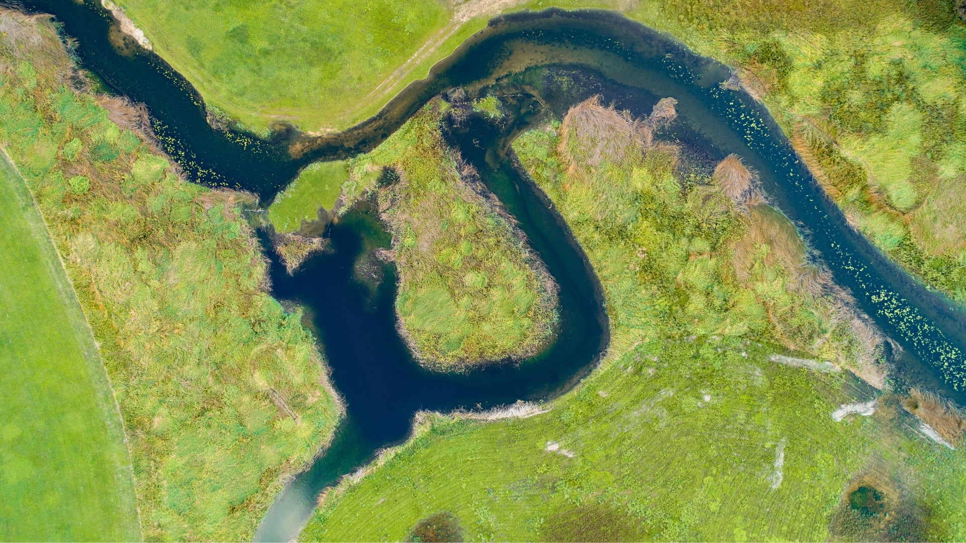 Vue panoramique du lac de Cerknica et des collines environnantes