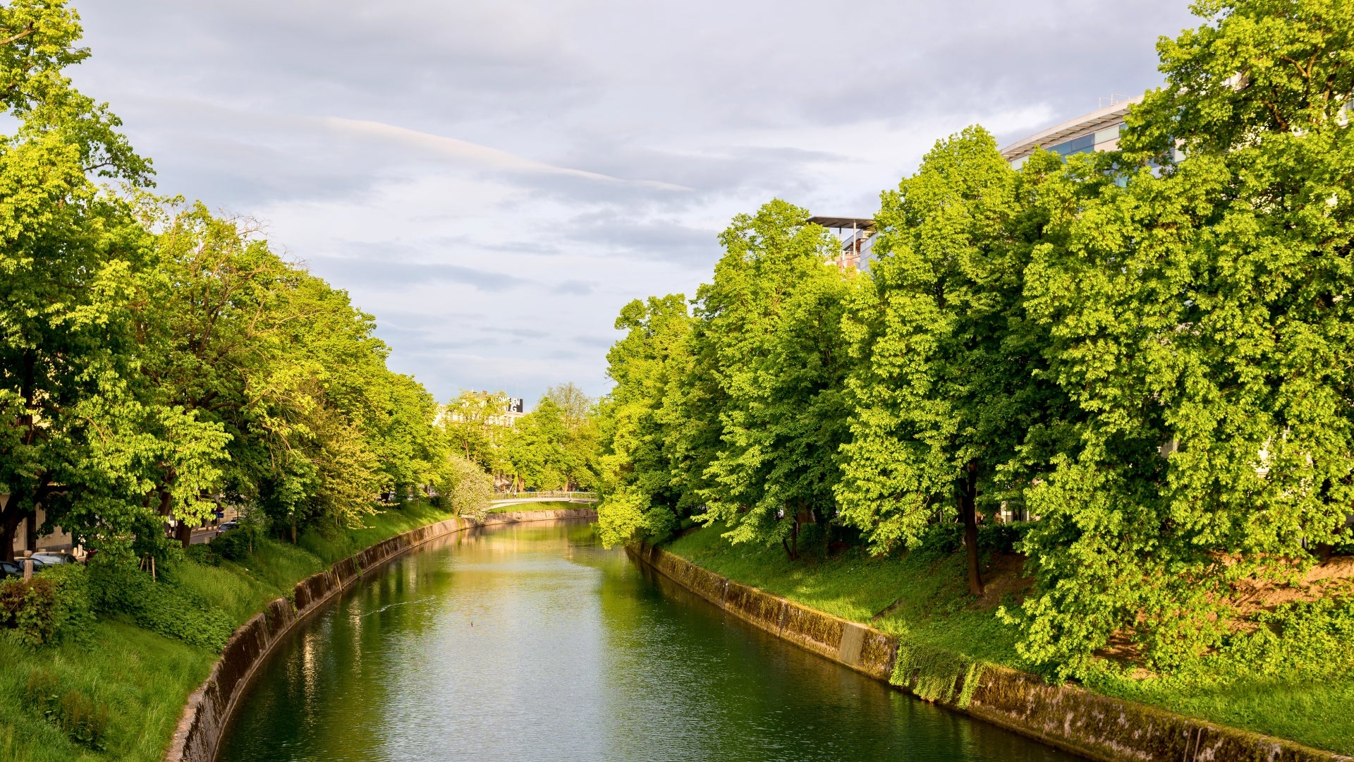 Río Ljubljanica serpenteando entre verdes campos de humedal