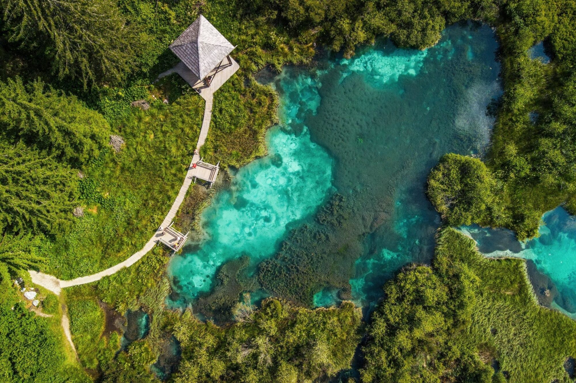 Sources de Zelenci — Le lac émeraude près de Kranjska Gora