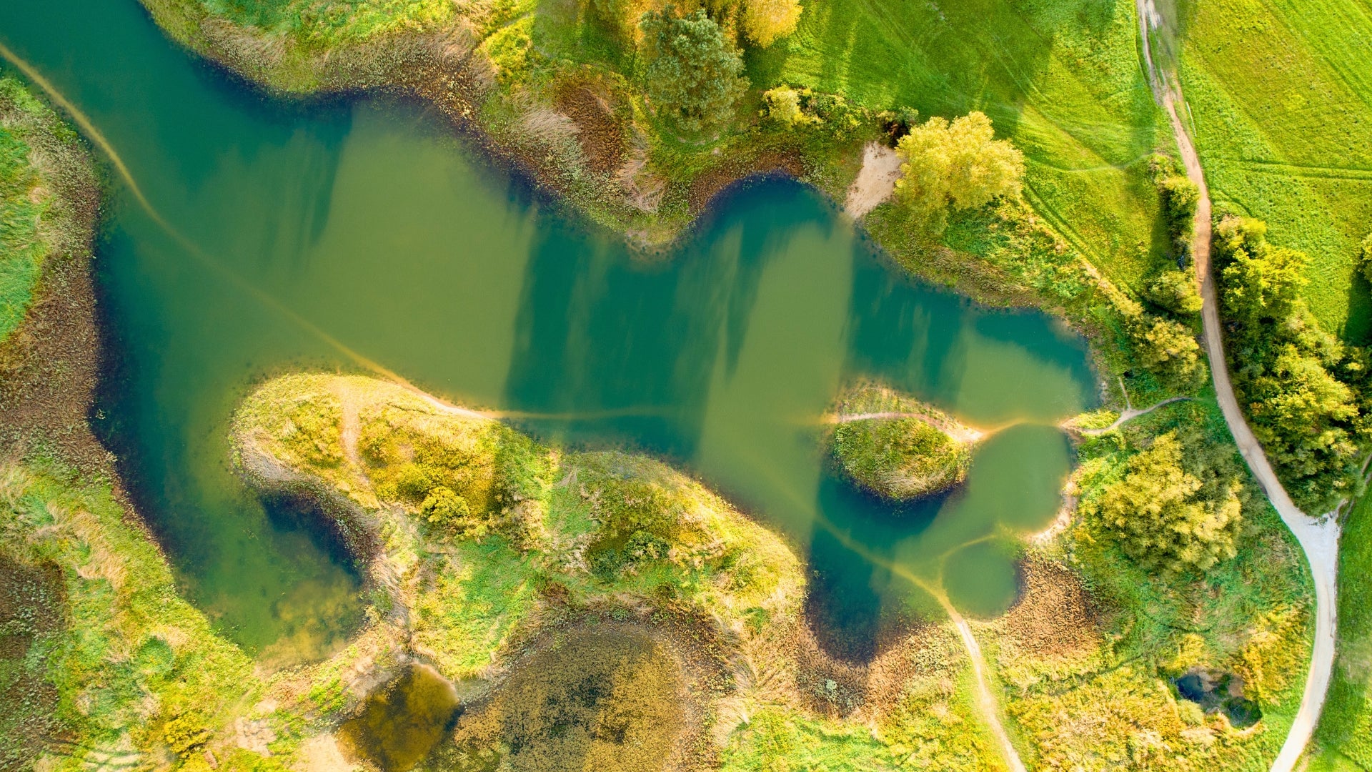 Hautes eaux au lac de Cerknica avec prairies inondées et collines au loin