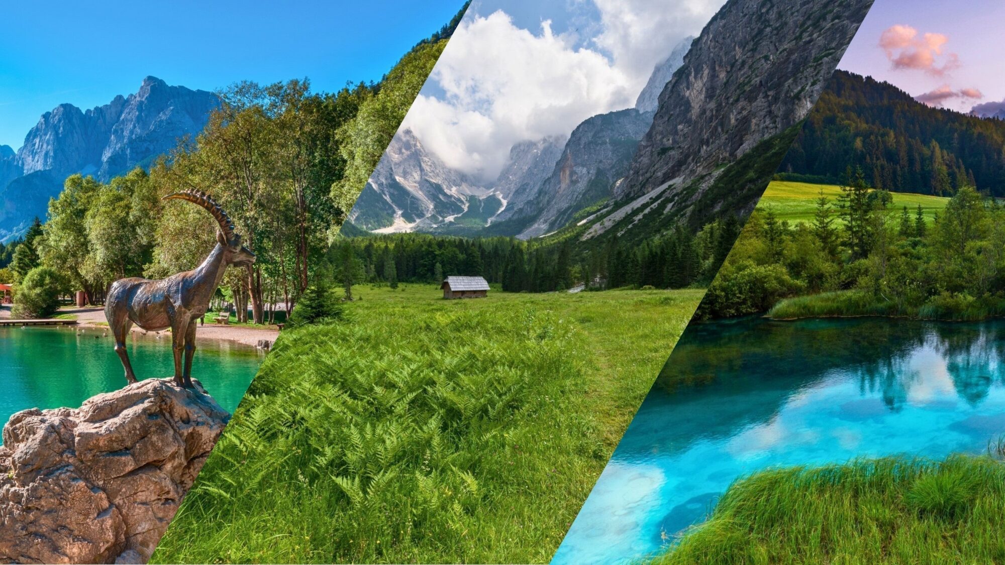 Ruta esencial de Kranjska Gora — Valle de Krnica, lago Jasna y manantiales de Zelenci