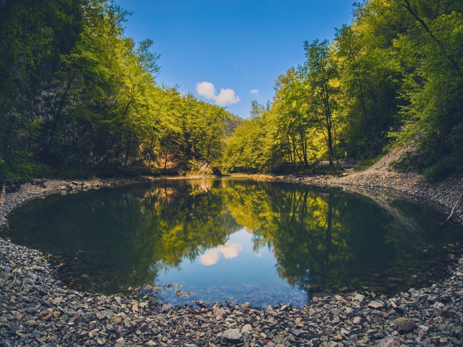 Lago Salvaje de Idrija — Cuenca cárstica profunda y bosques tranquilos