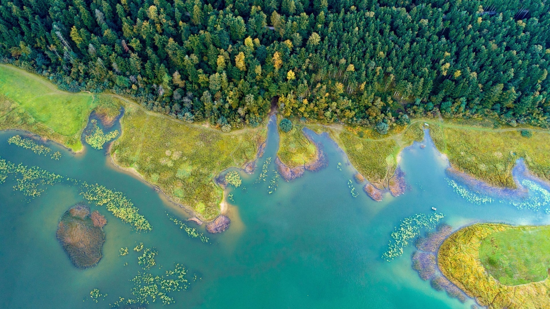 Lac de Cerknica — Le plus grand lac intermittent d’Europe