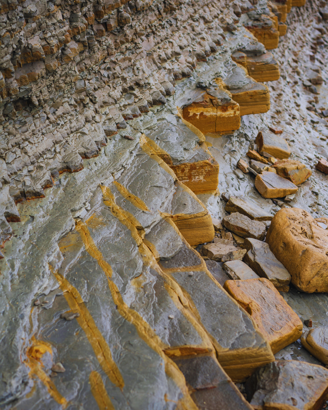 Terrazas de flysch en capas en Debeli Rtič