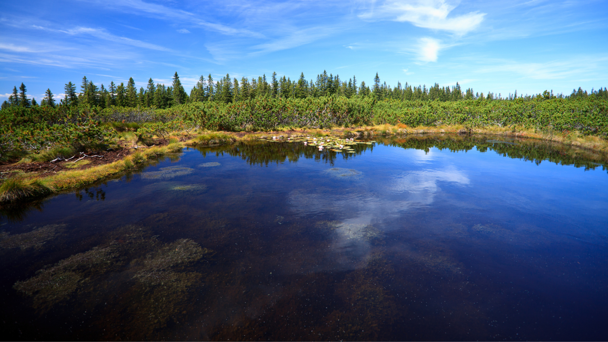 Lacs de Lovrenc — Tourbières de haute altitude sur le plateau de Pohorje