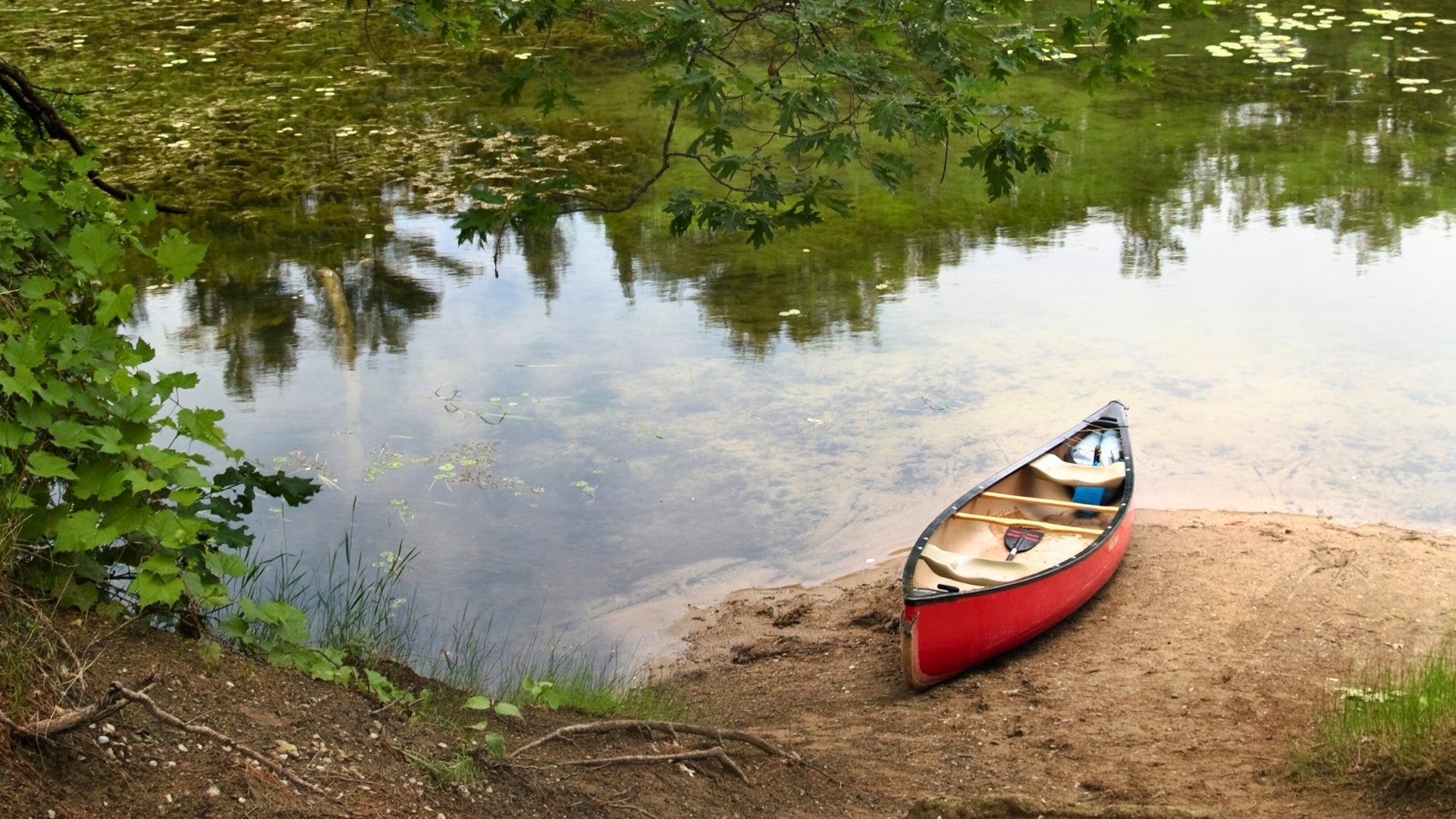 Luz de atardecer sobre el río Kolpa y los bosques circundantes