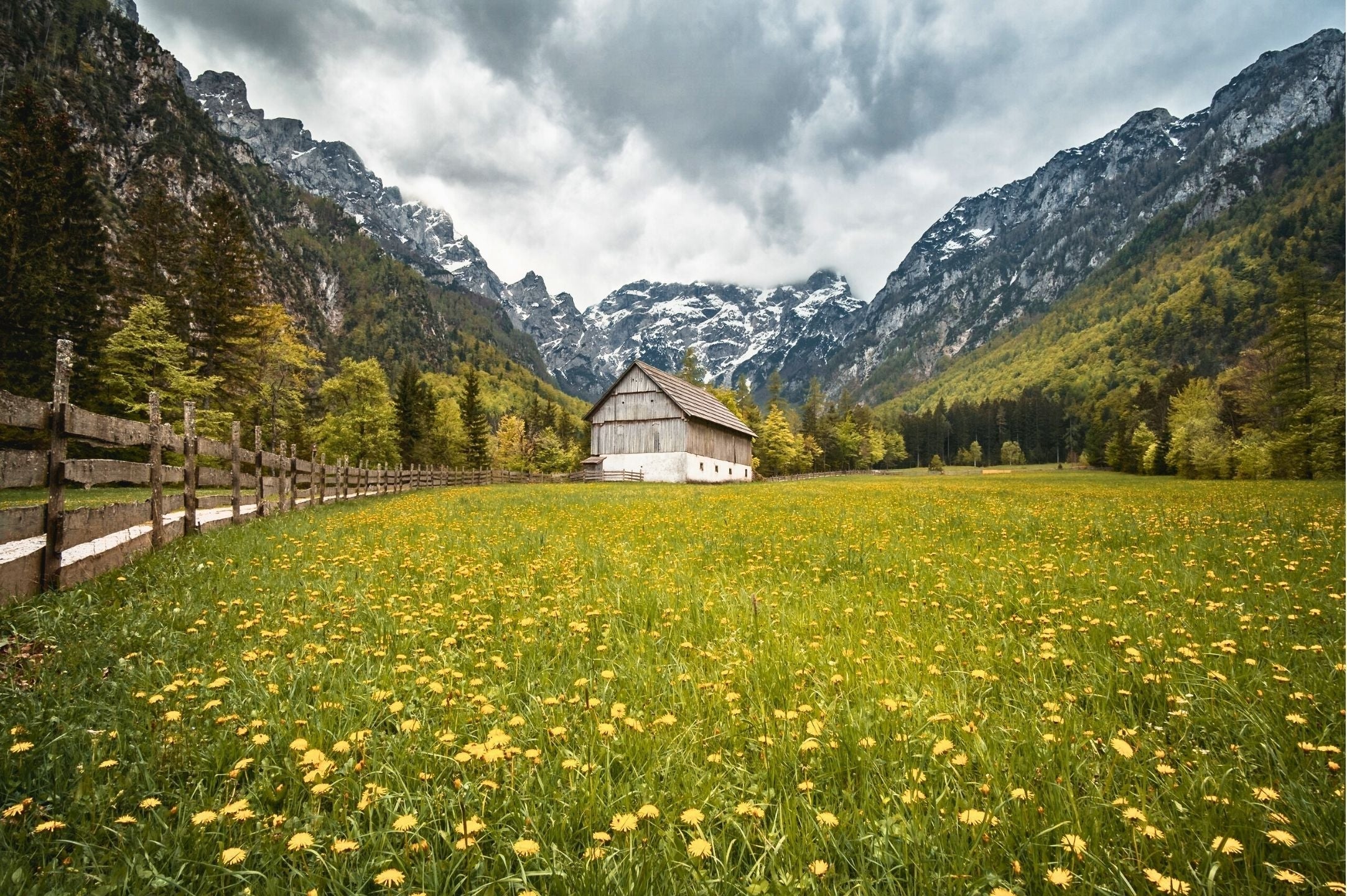 Robanov Kot Valley – Quiet Alpine Valley Near Logar Valley