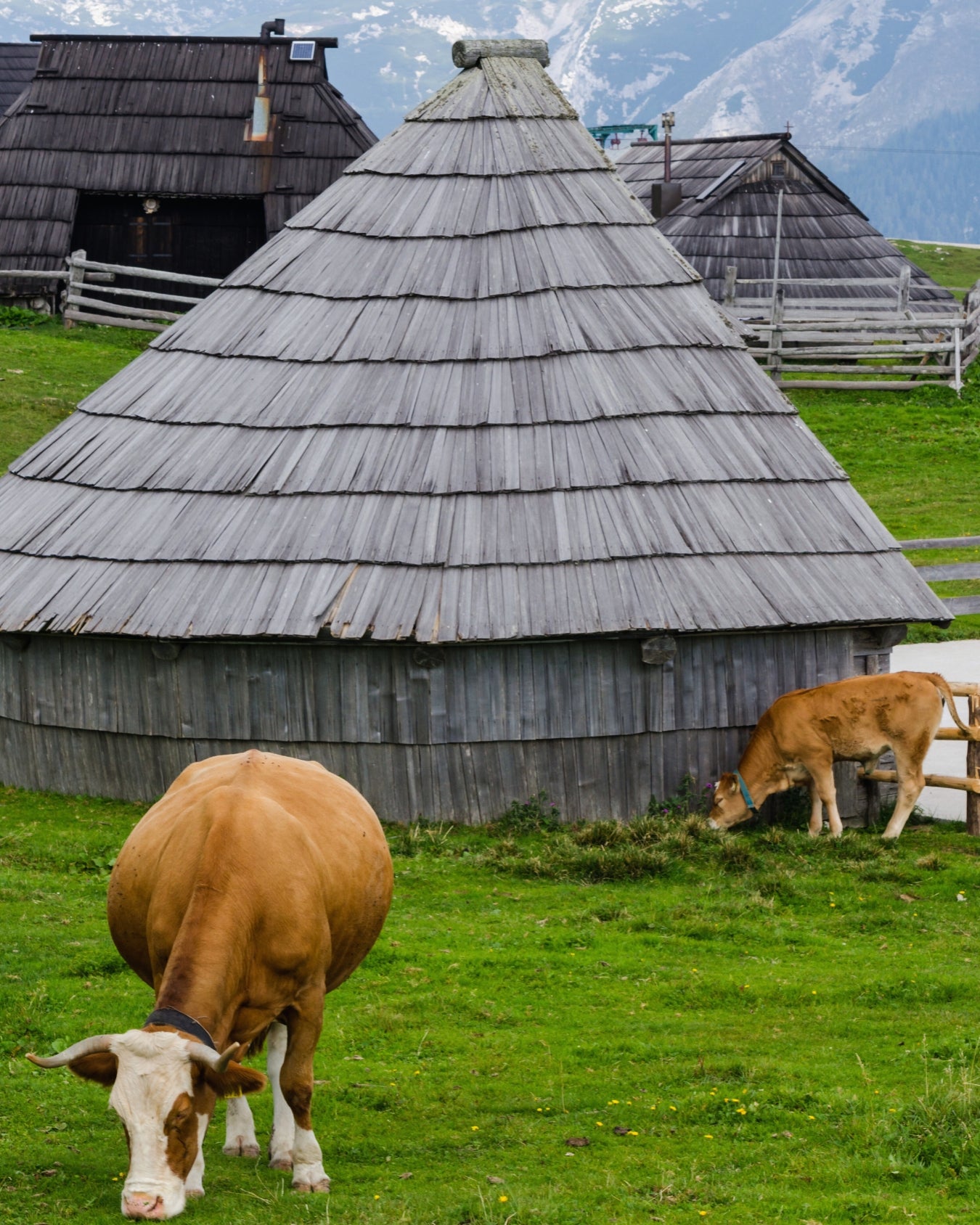 Amplia vista sobre la meseta alpina de Velika Planina