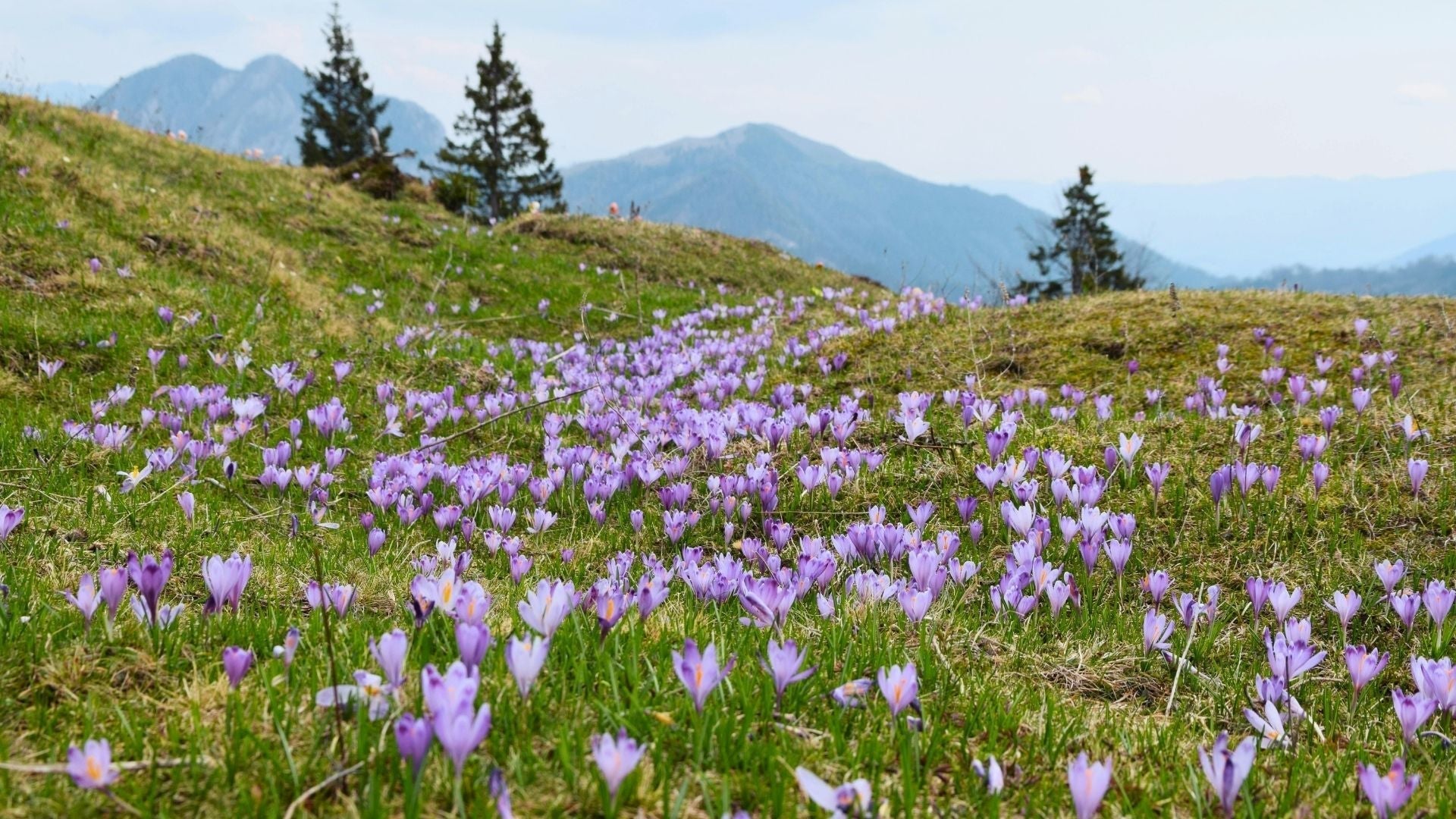 La Slovénie au printemps : meilleur moment, météo et où aller (mars-juin)