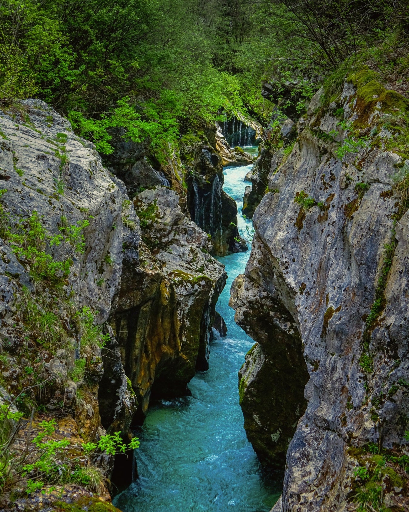 Pozas esmeralda y paredes de piedra caliza blanca en el desfiladero del Soča