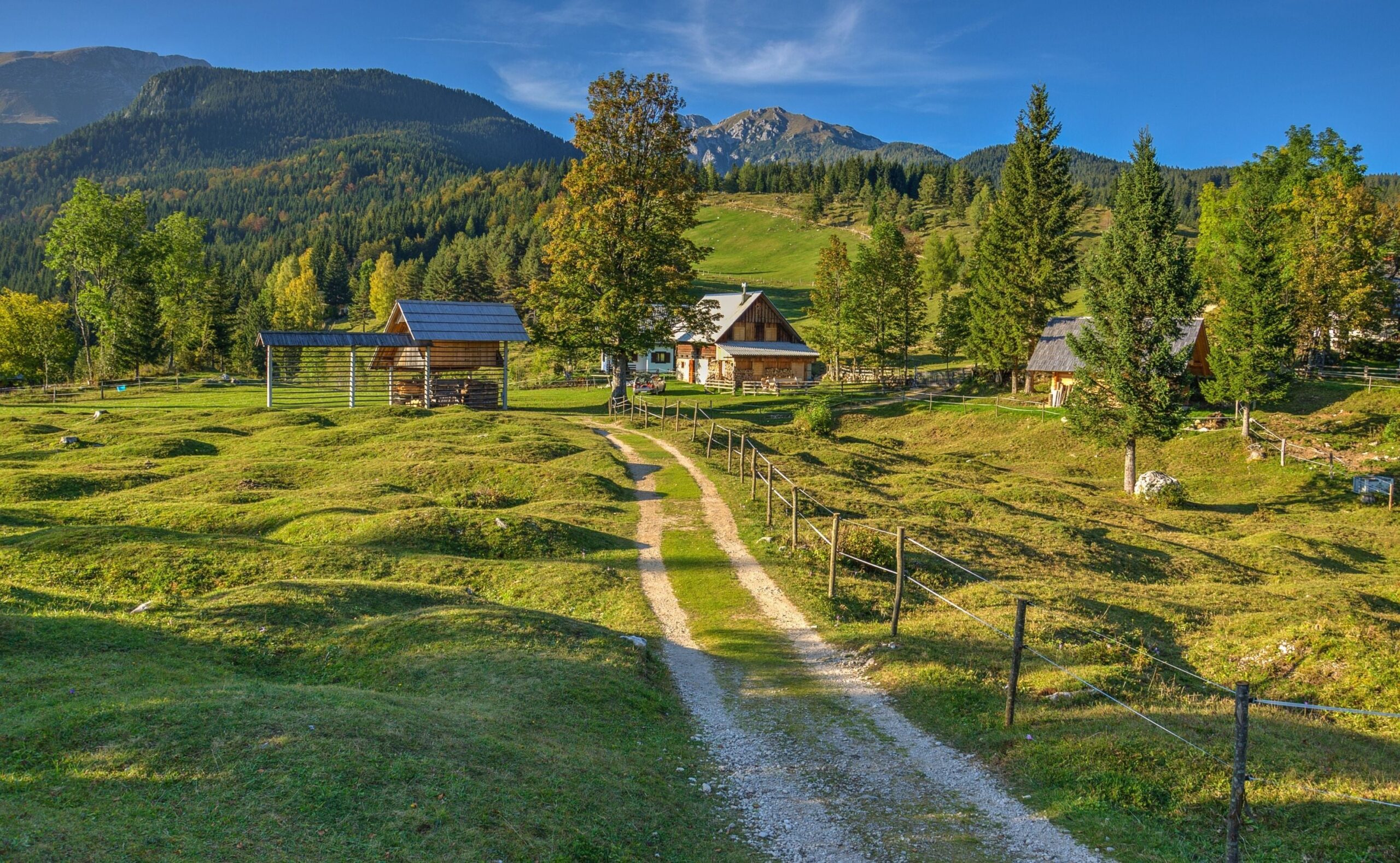 Cabanes traditionnelles et prairies sur un pâturage alpin de Pokljuka